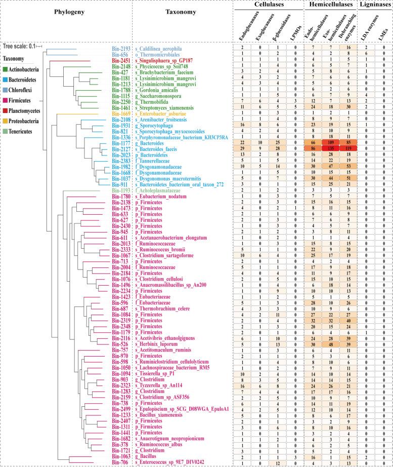 https://cdn.ncbi.nlm.nih.gov/pmc/blobs/08e2/9195238/b469b052bc52/40168_2022_1291_Fig4_HTML.jpg