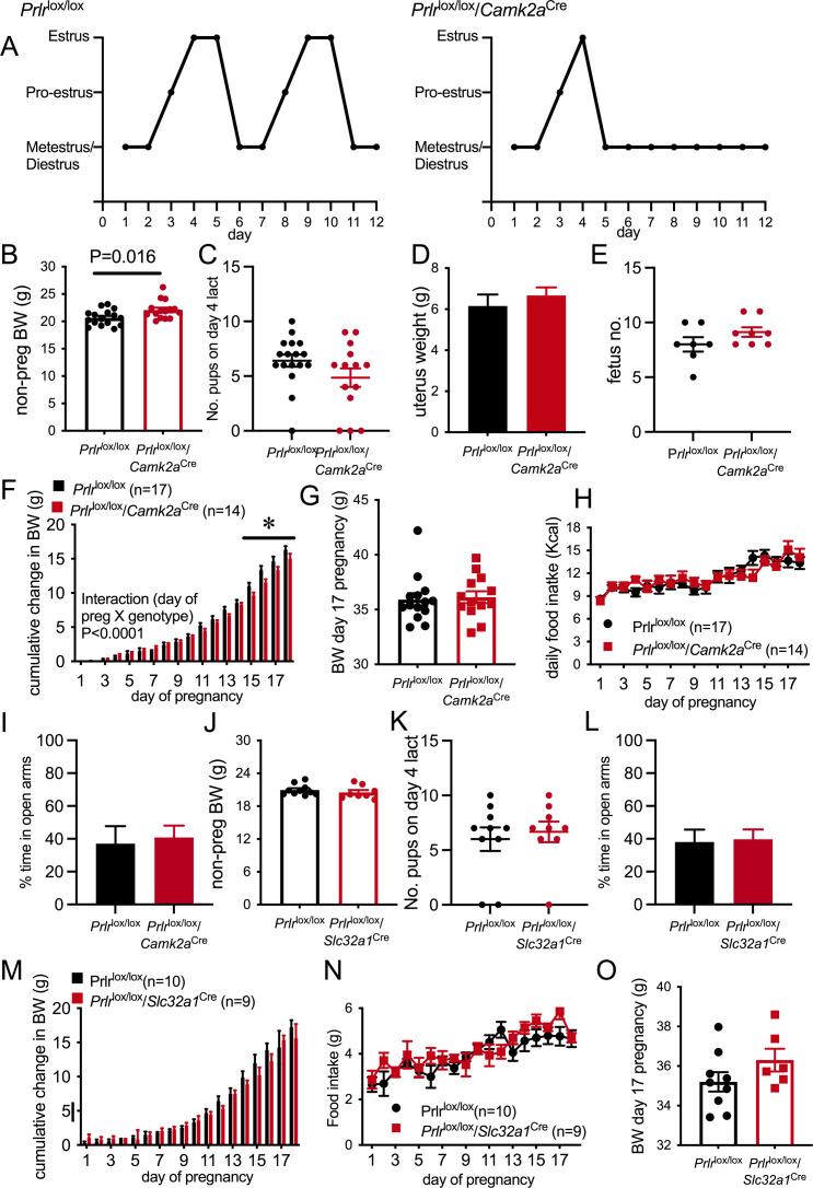 https://cdn.ncbi.nlm.nih.gov/pmc/blobs/08e3/8480982/00a86faf1751/elife-62260-fig4-figsupp3.jpg
