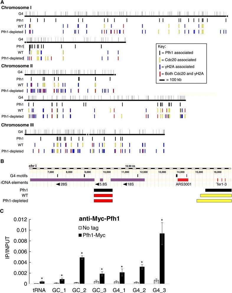 https://cdn.ncbi.nlm.nih.gov/pmc/blobs/08e6/4275981/c8990da34c8c/12915_2014_101_Fig1_HTML.jpg