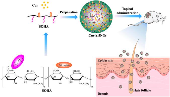 https://cdn.ncbi.nlm.nih.gov/pmc/blobs/08e7/9527322/1ae68449c22f/fchem-10-1028372-g001.jpg