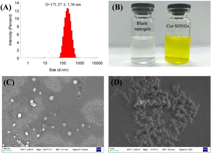 https://cdn.ncbi.nlm.nih.gov/pmc/blobs/08e7/9527322/20cab6cd13b6/fchem-10-1028372-g003.jpg