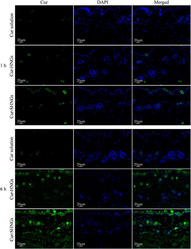 https://cdn.ncbi.nlm.nih.gov/pmc/blobs/08e7/9527322/55801991c976/fchem-10-1028372-g007.jpg