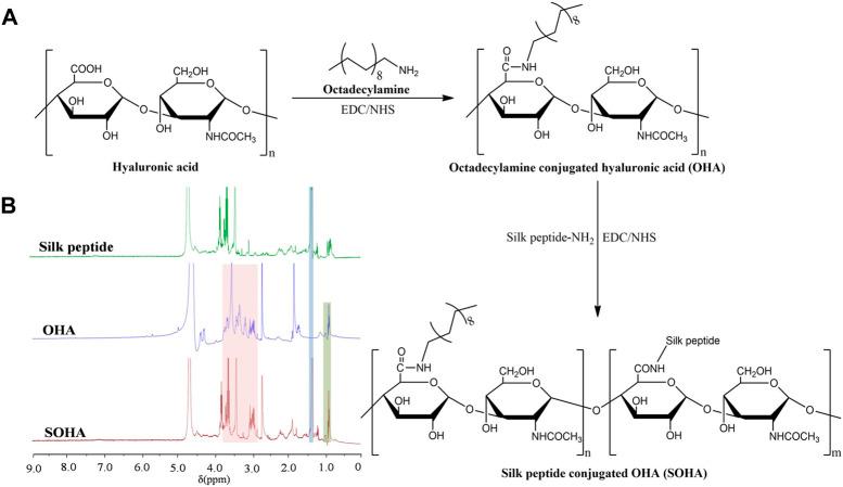 https://cdn.ncbi.nlm.nih.gov/pmc/blobs/08e7/9527322/7acb669c41d0/fchem-10-1028372-g002.jpg