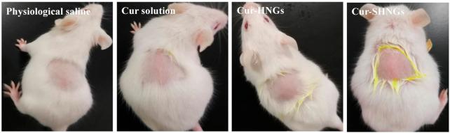 https://cdn.ncbi.nlm.nih.gov/pmc/blobs/08e7/9527322/ac12faa52f4f/fchem-10-1028372-g009.jpg