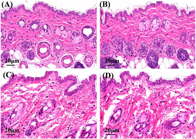 https://cdn.ncbi.nlm.nih.gov/pmc/blobs/08e7/9527322/e79e2bfcb725/fchem-10-1028372-g006.jpg