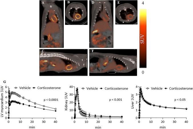 https://cdn.ncbi.nlm.nih.gov/pmc/blobs/08e7/9581852/2538e0faf17e/11307_2022_1728_Fig3_HTML.jpg
