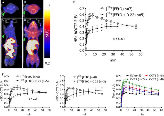 https://cdn.ncbi.nlm.nih.gov/pmc/blobs/08e7/9581852/df28b99a5744/11307_2022_1728_Fig4_HTML.jpg