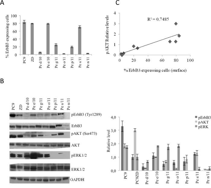 https://cdn.ncbi.nlm.nih.gov/pmc/blobs/08e8/3787155/7c0b31add3e0/oncotarget-04-1253-g001.jpg
