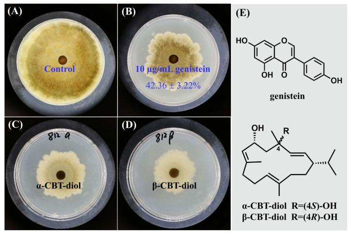 https://cdn.ncbi.nlm.nih.gov/pmc/blobs/08e9/11723270/1c3a9f894894/plants-14-00120-g001.jpg