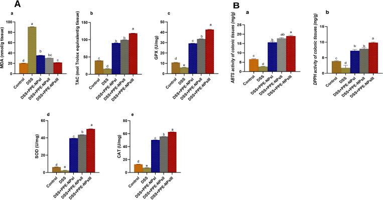 https://cdn.ncbi.nlm.nih.gov/pmc/blobs/08e9/12074350/5c0df15f1698/pone.0323605.g006.jpg