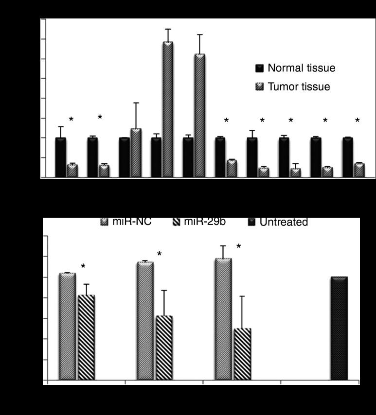 https://cdn.ncbi.nlm.nih.gov/pmc/blobs/08ea/3650246/02409af4edc0/mtna201314f2.jpg