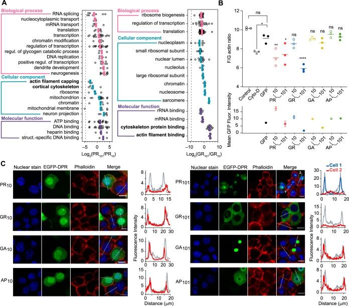 https://cdn.ncbi.nlm.nih.gov/pmc/blobs/08ea/7124463/478b48f80950/zjw0042061060004.jpg