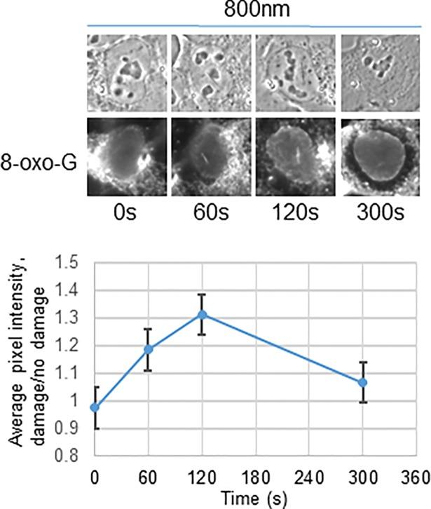 https://cdn.ncbi.nlm.nih.gov/pmc/blobs/08ef/6086436/cb3c1600fce0/pone.0201907.g001.jpg