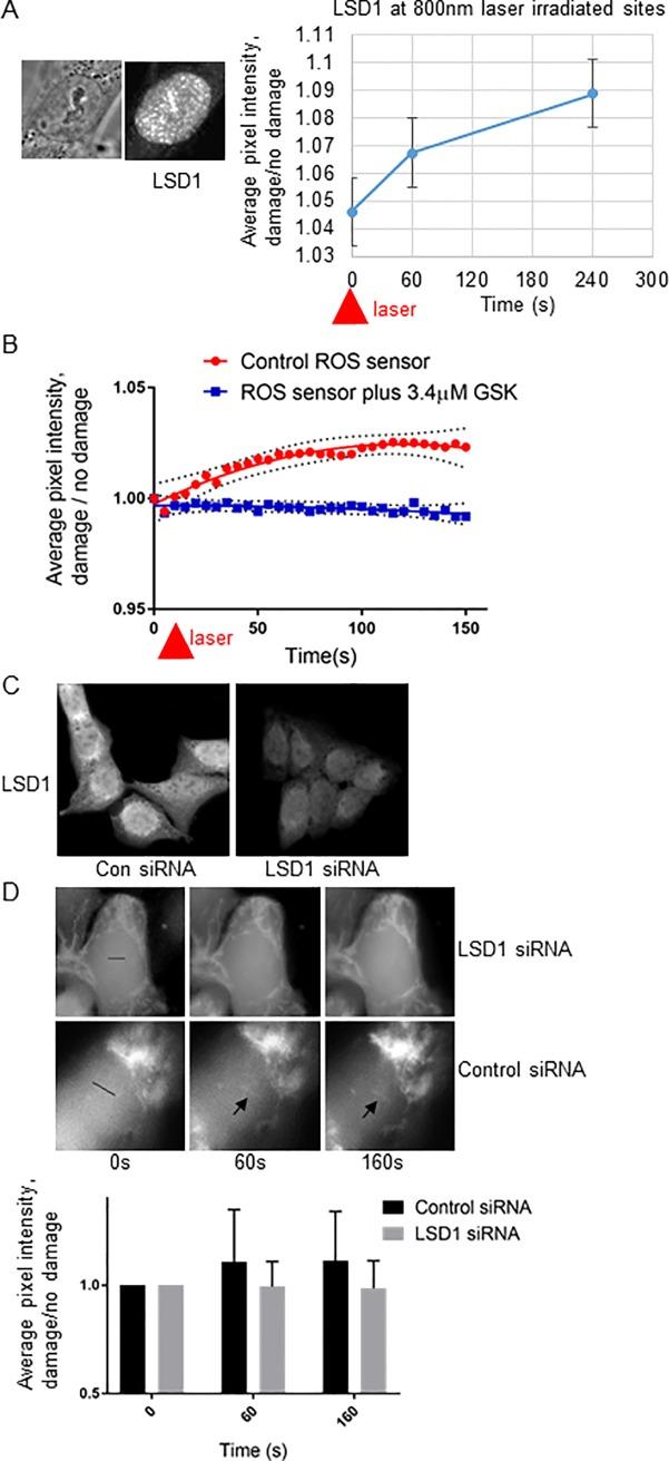 https://cdn.ncbi.nlm.nih.gov/pmc/blobs/08ef/6086436/f3fb6baf095a/pone.0201907.g003.jpg