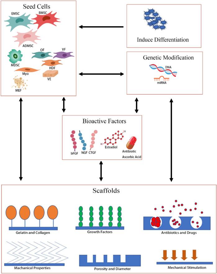 https://cdn.ncbi.nlm.nih.gov/pmc/blobs/08f0/9485870/293b50326b6d/fbioe-10-968482-g001.jpg