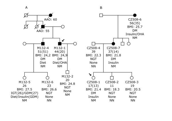 https://cdn.ncbi.nlm.nih.gov/pmc/blobs/08f2/2848224/2e22c50c937c/1471-2350-11-42-1.jpg