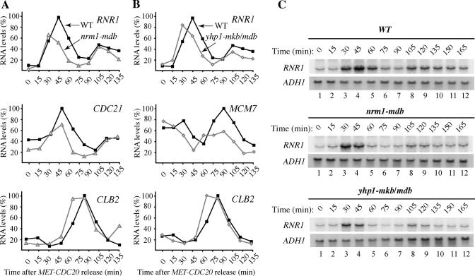 https://cdn.ncbi.nlm.nih.gov/pmc/blobs/08f2/3128521/5c08a2725754/2175fig6.jpg