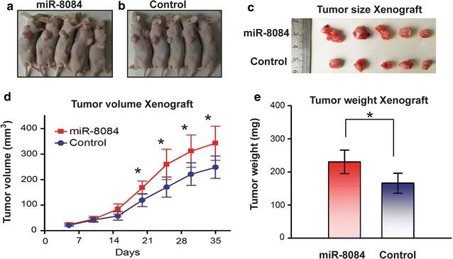 https://cdn.ncbi.nlm.nih.gov/pmc/blobs/08f2/5824560/dbd3052bcf30/12967_2018_1419_Fig3_HTML.jpg