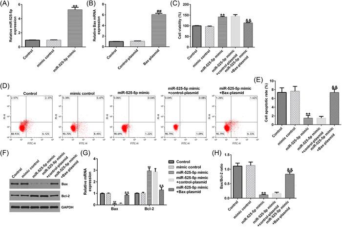 https://cdn.ncbi.nlm.nih.gov/pmc/blobs/08f7/9846115/8ec5567a0ed9/IID3-11-e764-g001.jpg