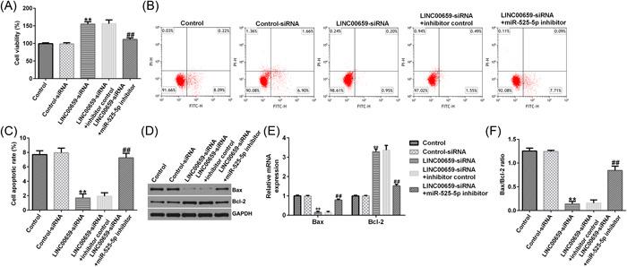 https://cdn.ncbi.nlm.nih.gov/pmc/blobs/08f7/9846115/a7f89886fbc6/IID3-11-e764-g002.jpg