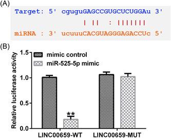 https://cdn.ncbi.nlm.nih.gov/pmc/blobs/08f7/9846115/cf72920962db/IID3-11-e764-g007.jpg
