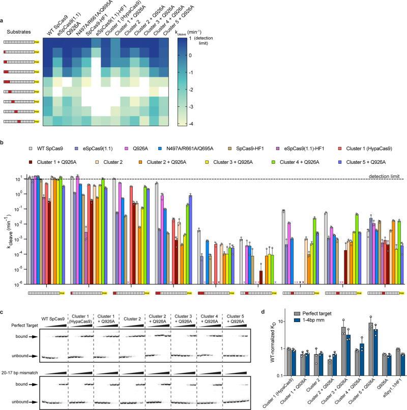 https://cdn.ncbi.nlm.nih.gov/pmc/blobs/08f8/5918688/738542d12747/nihms905915f10.jpg