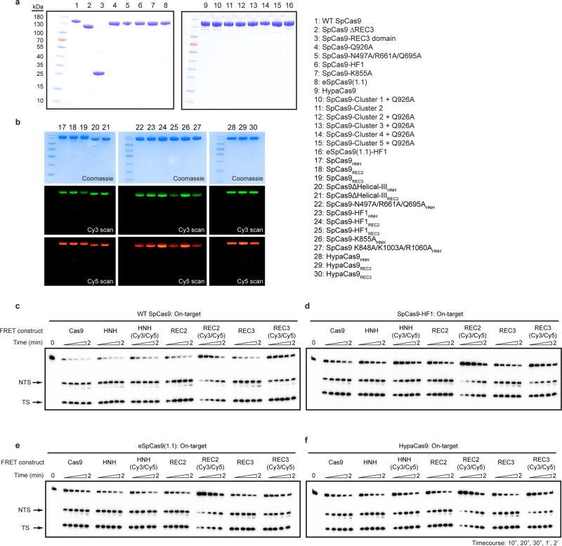 https://cdn.ncbi.nlm.nih.gov/pmc/blobs/08f8/5918688/74283f5d60c9/nihms905915f5.jpg