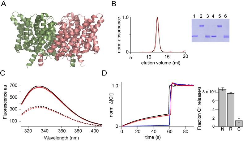 https://cdn.ncbi.nlm.nih.gov/pmc/blobs/08f9/6025958/346401c316f3/elife-36478-fig7.jpg