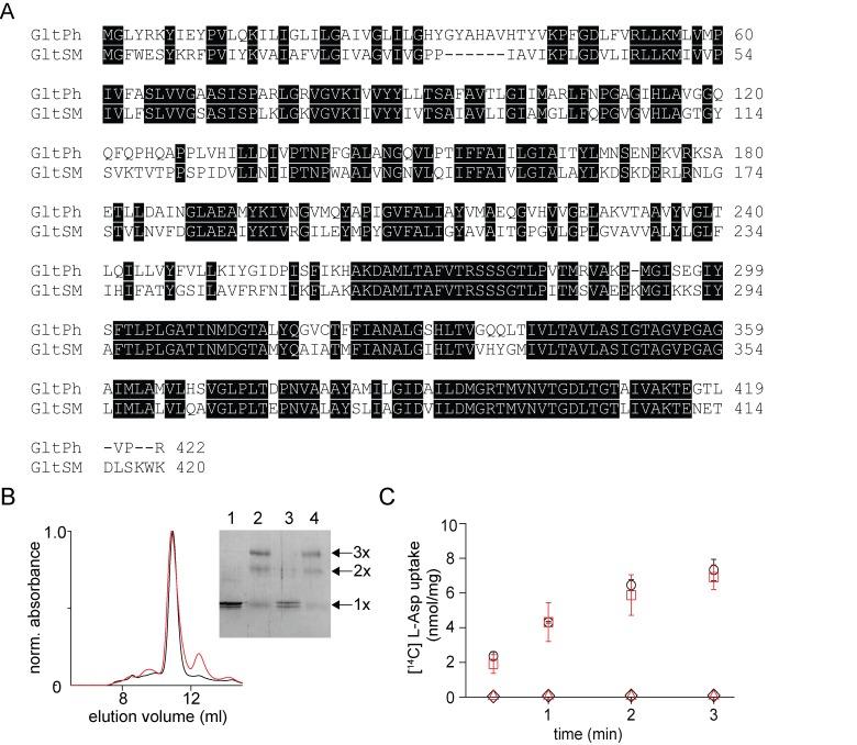 https://cdn.ncbi.nlm.nih.gov/pmc/blobs/08f9/6025958/ad9a2022a12c/elife-36478-fig5.jpg