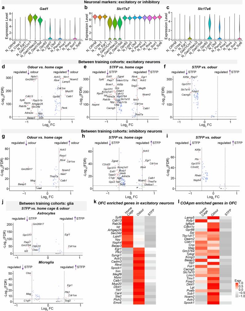 https://cdn.ncbi.nlm.nih.gov/pmc/blobs/08fc/11306109/34a110480983/41586_2024_7632_Fig12_ESM.jpg