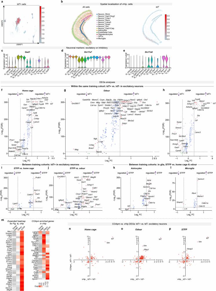 https://cdn.ncbi.nlm.nih.gov/pmc/blobs/08fc/11306109/d8ccb5429a70/41586_2024_7632_Fig11_ESM.jpg