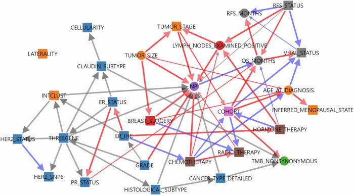 https://cdn.ncbi.nlm.nih.gov/pmc/blobs/08fe/11754479/55a975116082/41746_2025_1431_Fig2_HTML.jpg