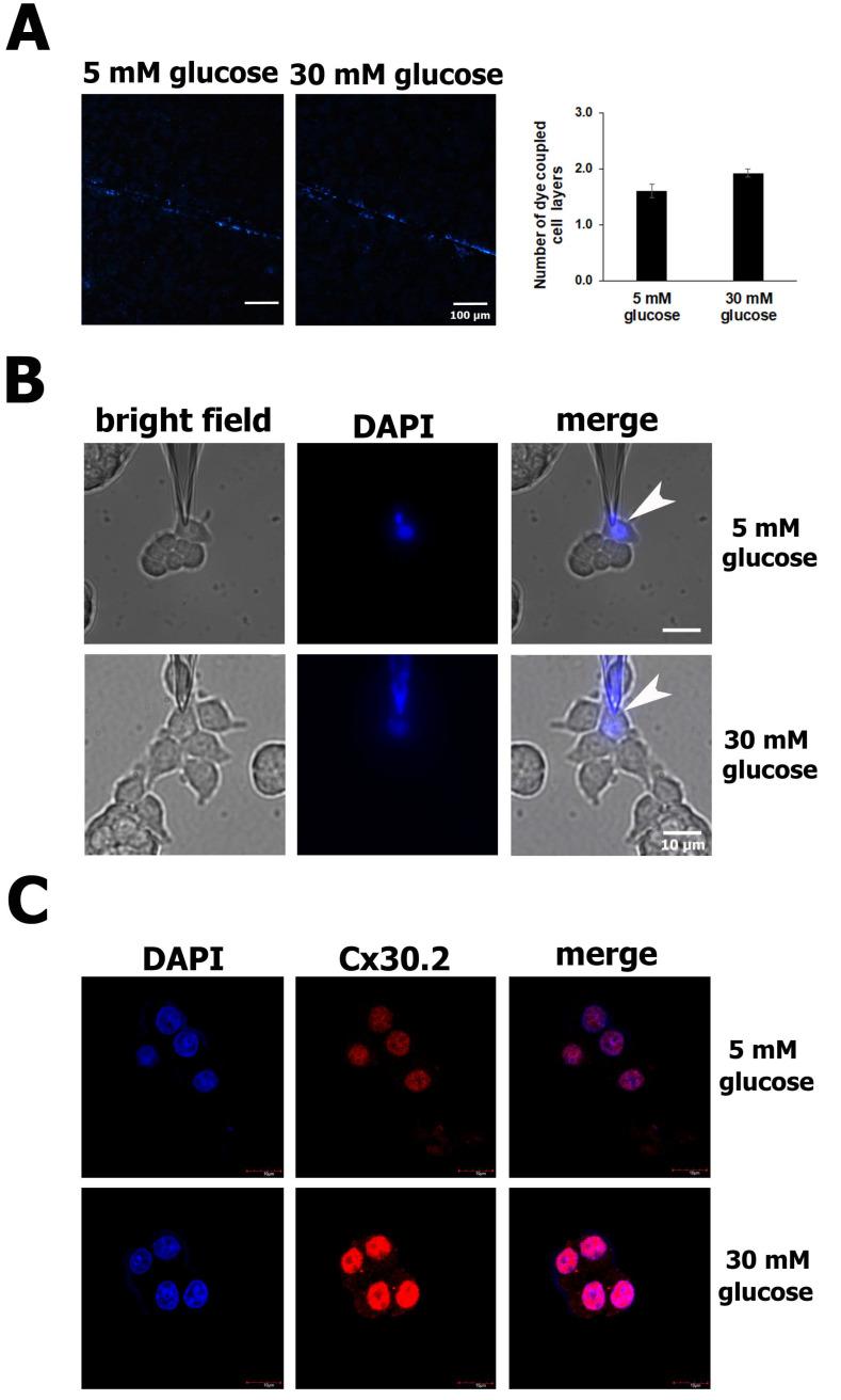 https://cdn.ncbi.nlm.nih.gov/pmc/blobs/0900/11273625/7a89d76566fe/biology-13-00468-g003.jpg