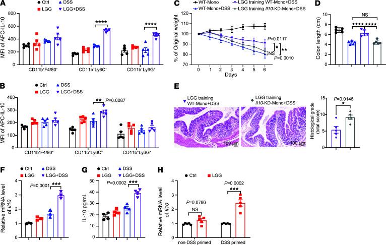 https://cdn.ncbi.nlm.nih.gov/pmc/blobs/0900/11785918/7b0c219df350/jci-135-174910-g070.jpg