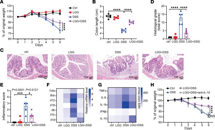 https://cdn.ncbi.nlm.nih.gov/pmc/blobs/0900/11785918/b45e92b6d44b/jci-135-174910-g069.jpg