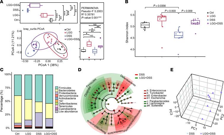 https://cdn.ncbi.nlm.nih.gov/pmc/blobs/0900/11785918/bf769d530d5d/jci-135-174910-g074.jpg