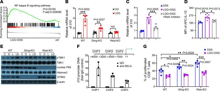 https://cdn.ncbi.nlm.nih.gov/pmc/blobs/0900/11785918/d2ab4edd0f55/jci-135-174910-g072.jpg
