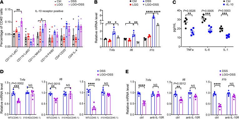 https://cdn.ncbi.nlm.nih.gov/pmc/blobs/0900/11785918/def62b7d6628/jci-135-174910-g073.jpg
