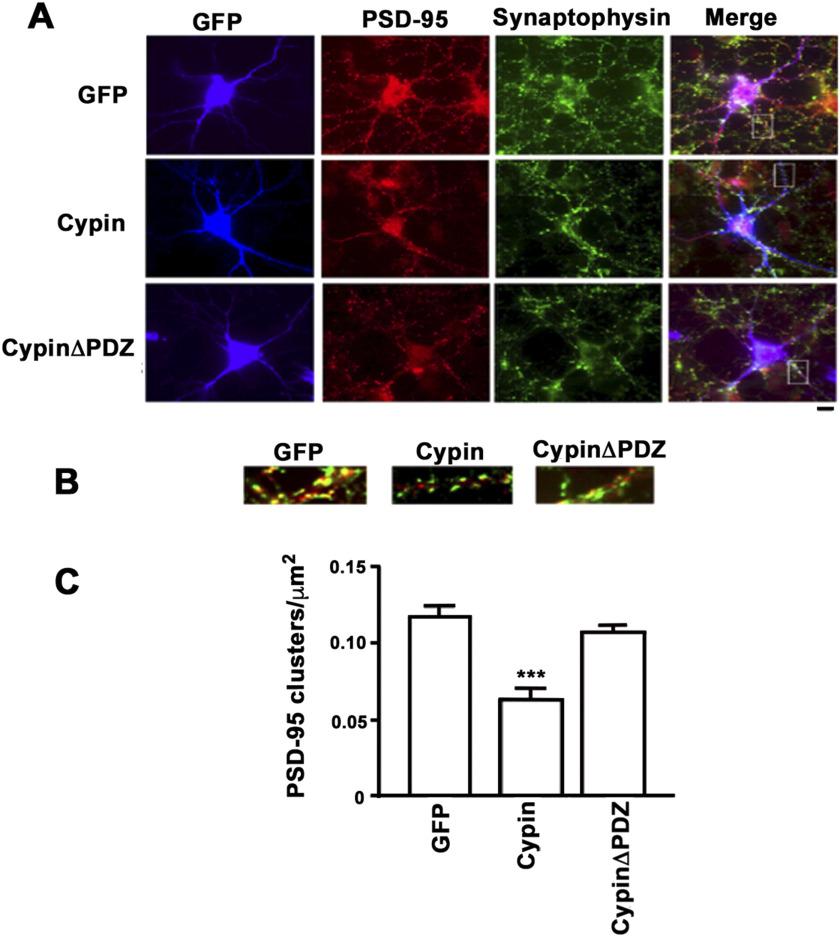 https://cdn.ncbi.nlm.nih.gov/pmc/blobs/0900/7935033/33d6575a4b07/netn-05-166-g003.jpg