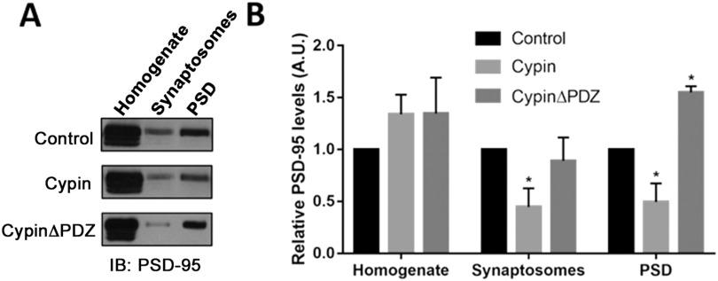 https://cdn.ncbi.nlm.nih.gov/pmc/blobs/0900/7935033/f922f3d14e7a/netn-05-166-g001.jpg