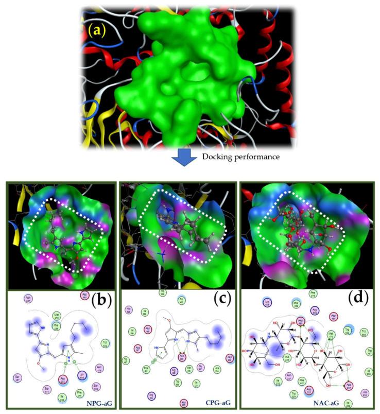 https://cdn.ncbi.nlm.nih.gov/pmc/blobs/0900/8541193/16cc98fc318a/molecules-26-06270-g008.jpg