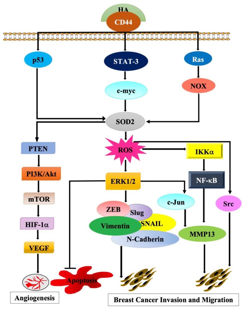 https://cdn.ncbi.nlm.nih.gov/pmc/blobs/0900/8839817/895d1d6934fb/molecules-27-00811-g001.jpg