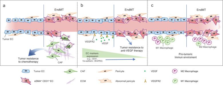 https://cdn.ncbi.nlm.nih.gov/pmc/blobs/0902/7272420/cb77cebaf9dd/12276_2020_439_Fig2_HTML.jpg