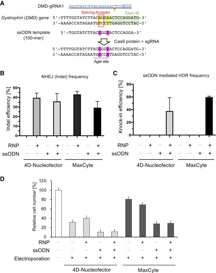 https://cdn.ncbi.nlm.nih.gov/pmc/blobs/0902/8072016/dbdff7aae209/gr3.jpg