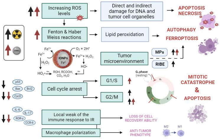 https://cdn.ncbi.nlm.nih.gov/pmc/blobs/0903/10610190/10b11f23fe7a/pharmaceutics-15-02406-g002.jpg