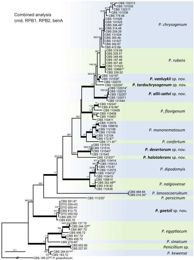 https://cdn.ncbi.nlm.nih.gov/pmc/blobs/0904/3589797/21d73f1a4f88/per-29-78-g001.jpg