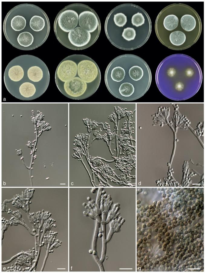 https://cdn.ncbi.nlm.nih.gov/pmc/blobs/0904/3589797/f24885770ad8/per-29-78-g006.jpg