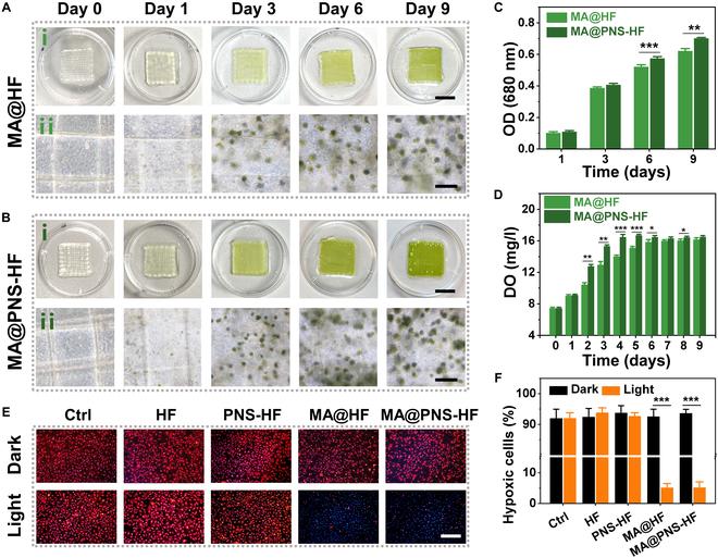https://cdn.ncbi.nlm.nih.gov/pmc/blobs/0907/10204746/f3154573e409/research.0138.fig.004.jpg