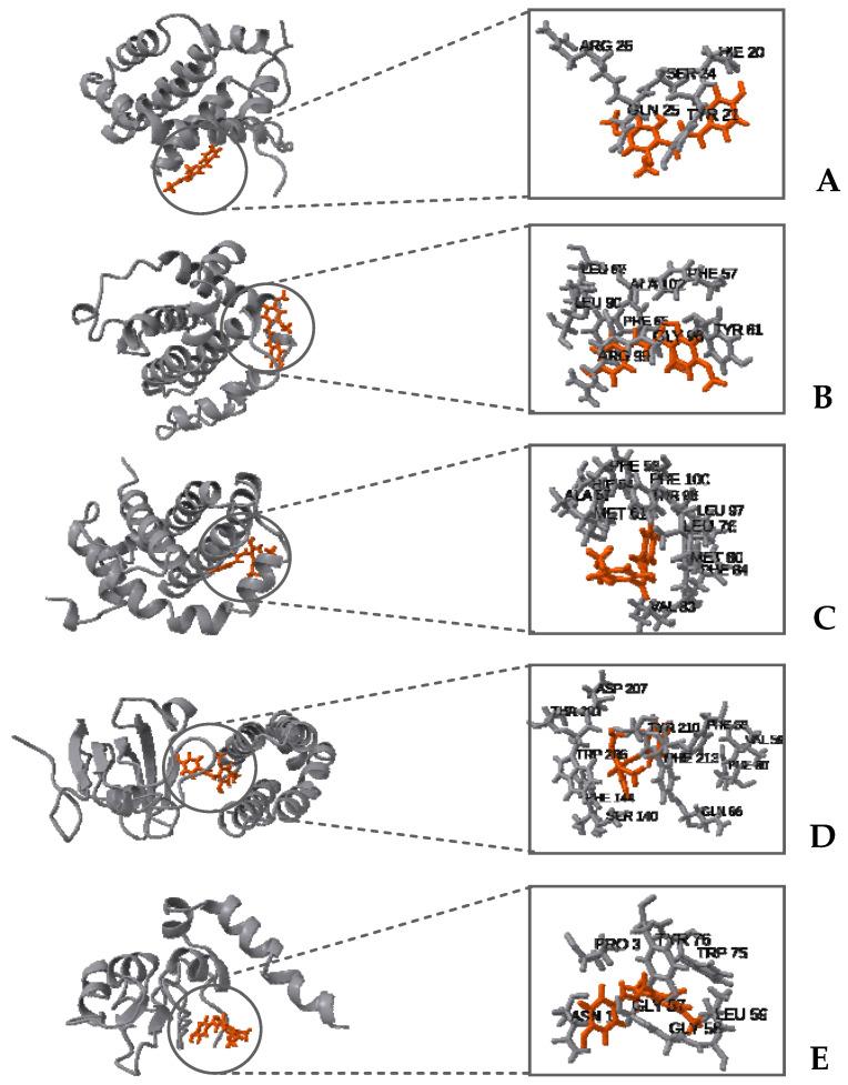 https://cdn.ncbi.nlm.nih.gov/pmc/blobs/0908/10934494/1034888e6bcd/plants-13-00570-g010.jpg