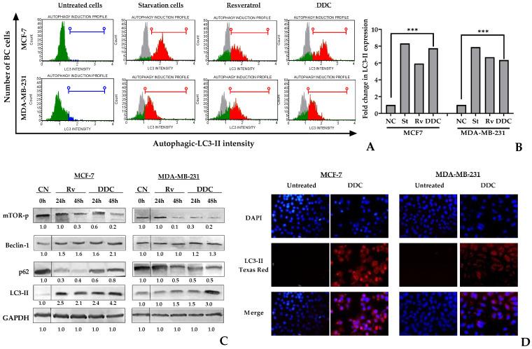 https://cdn.ncbi.nlm.nih.gov/pmc/blobs/0908/10934494/e50616d204e8/plants-13-00570-g004.jpg